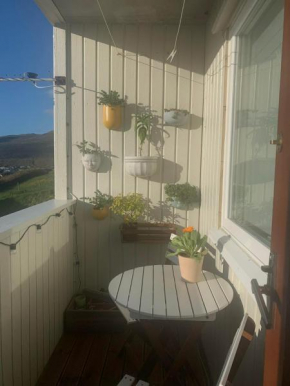 A cosy one bedroom apartment with a balcony
